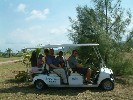 Transport to the airfield.